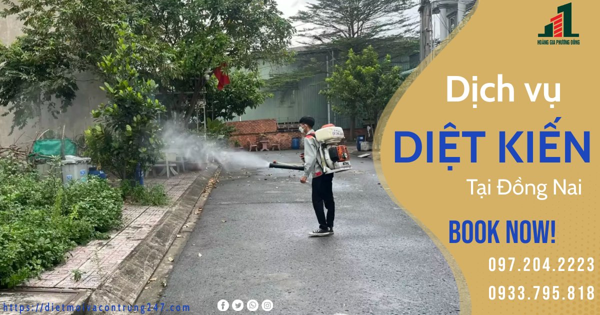 DỊCH VỤ DIỆT KIẾN TẠI ĐỒNG NAI